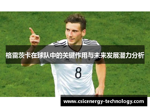 格雷茨卡在球队中的关键作用与未来发展潜力分析